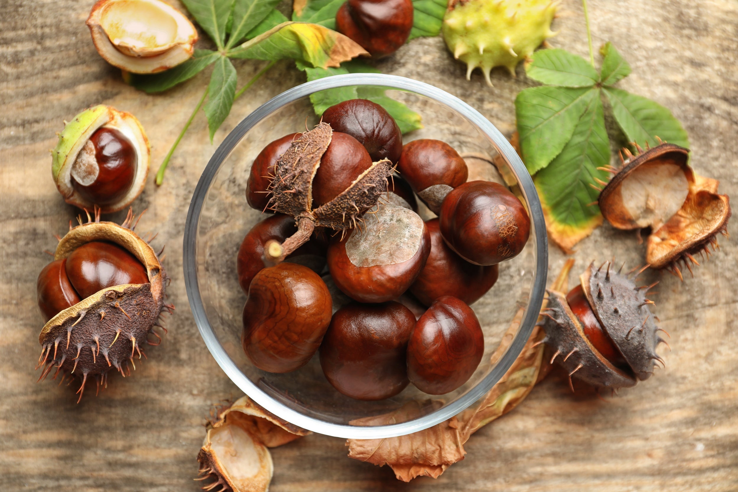 Helia-D Professional Fűszer