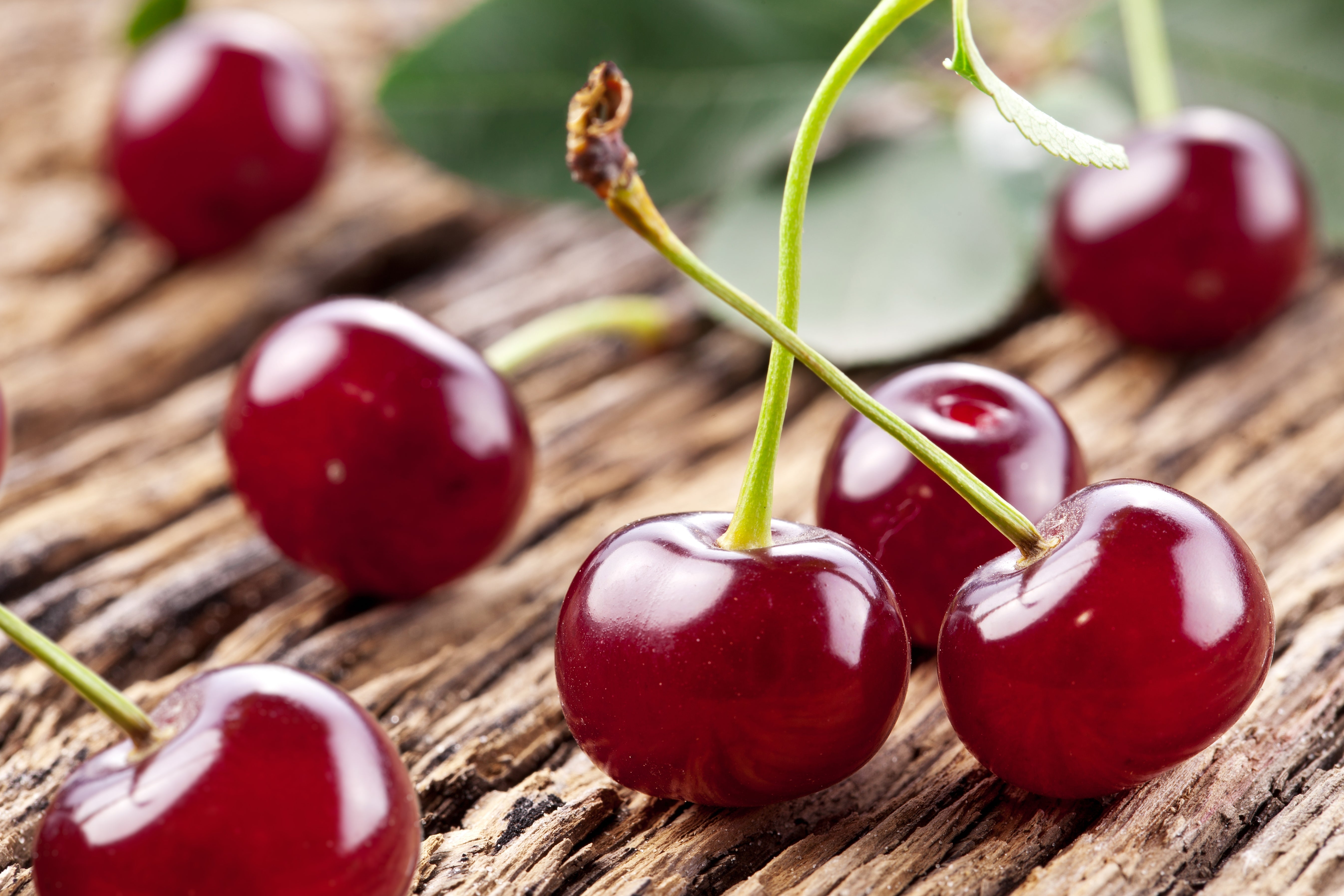 Helia-D Professional Pándi meggyes